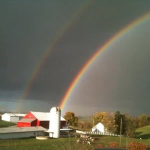 Meet your Posher, Rose